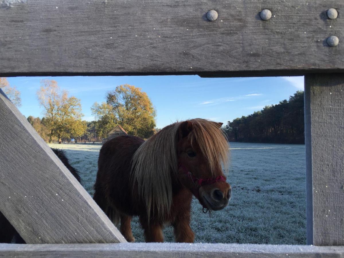 B&B De Paenhoeve Eksel Luaran gambar